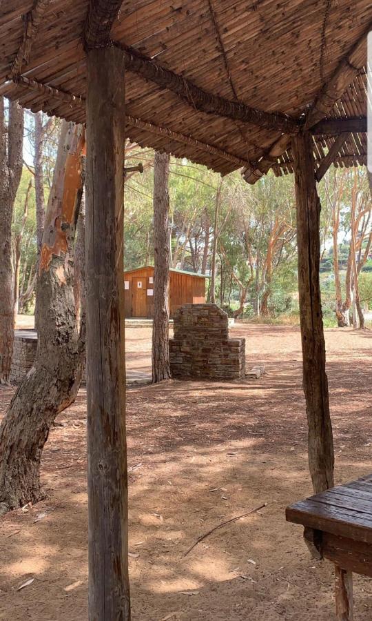 Casa Vacanza "Fortuna" Balestrate Ngoại thất bức ảnh